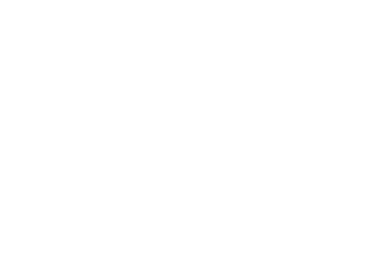 Liontect Construction